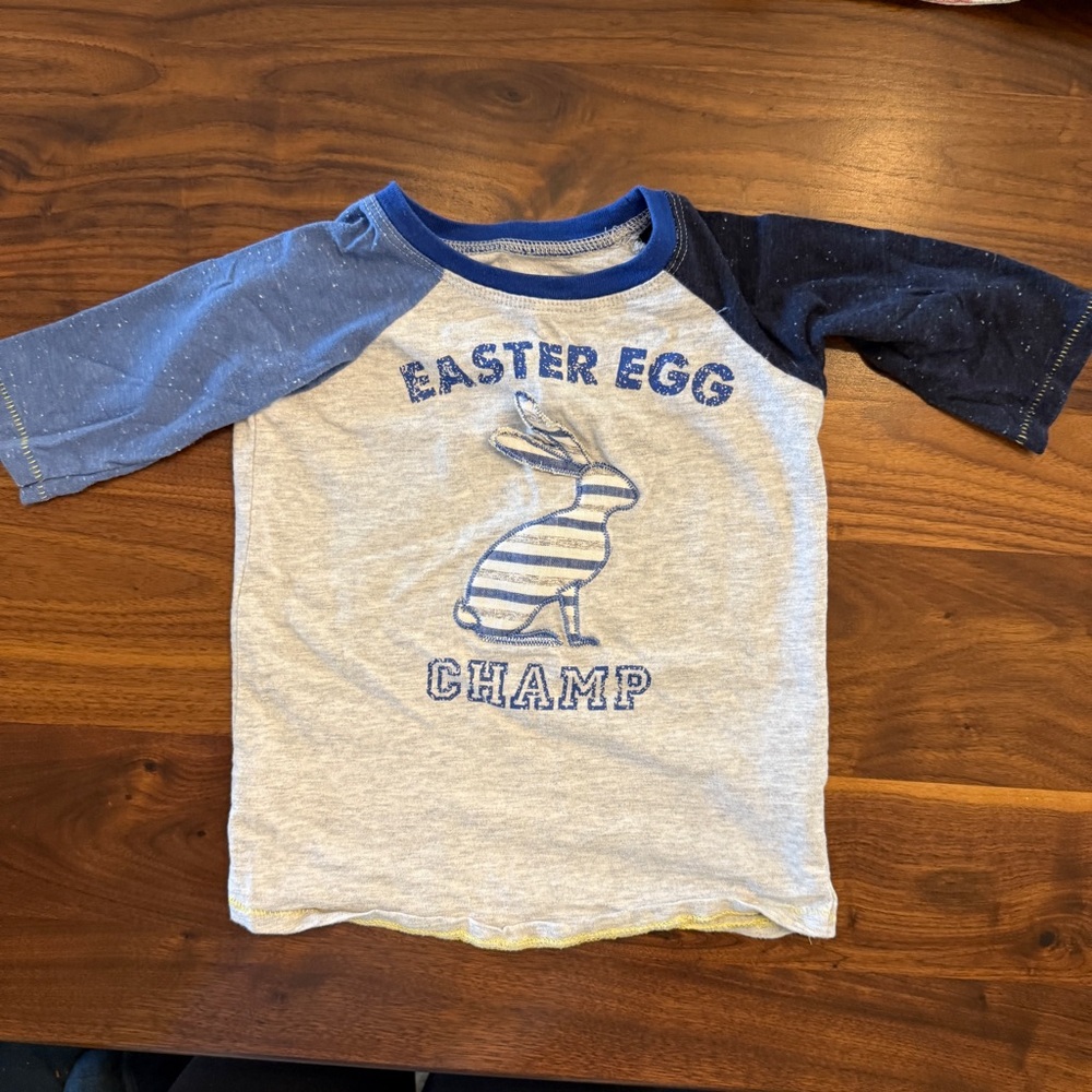Easter Egg Champ Kids Raglan Shirt - Gray and Blue